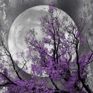 Meet your Posher, Judy